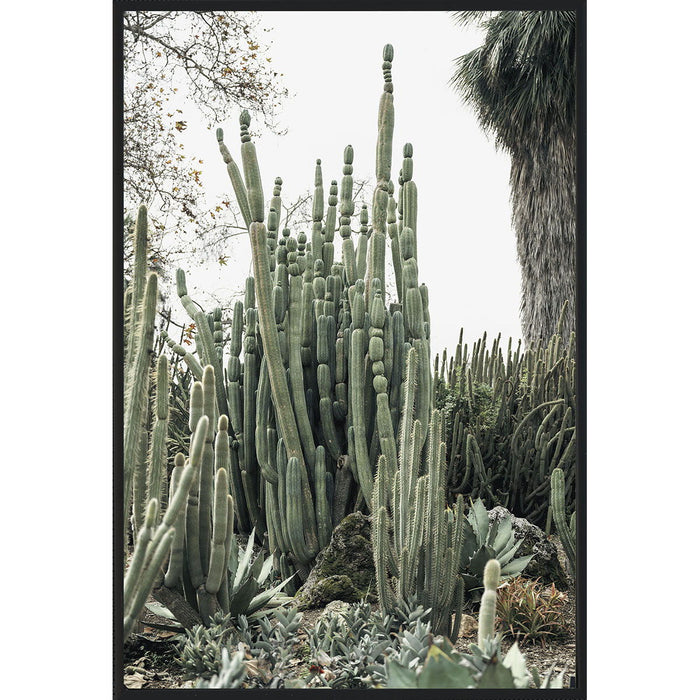 Cactus Tower - Photography by Michael D-Avello