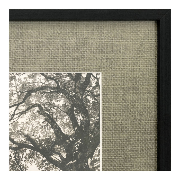Arise - Framed Print - Dark Gray