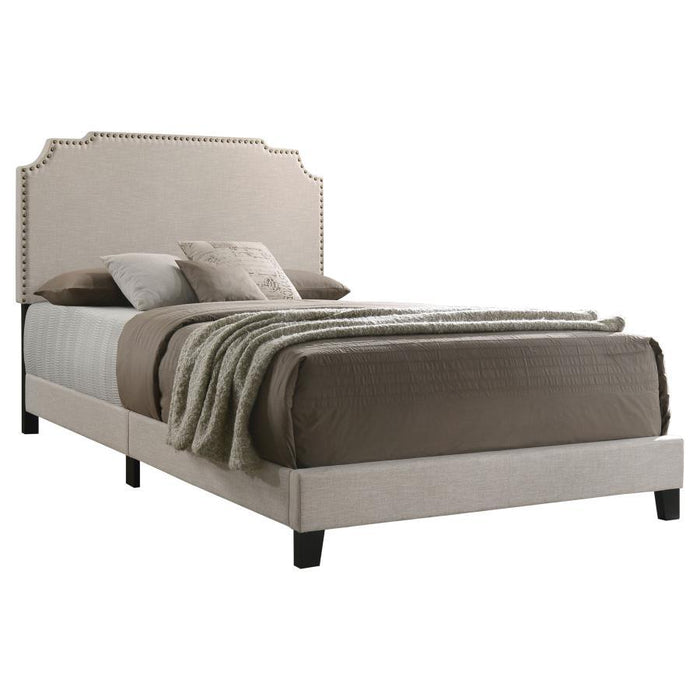 Tamarac - Upholstered Panel Bed