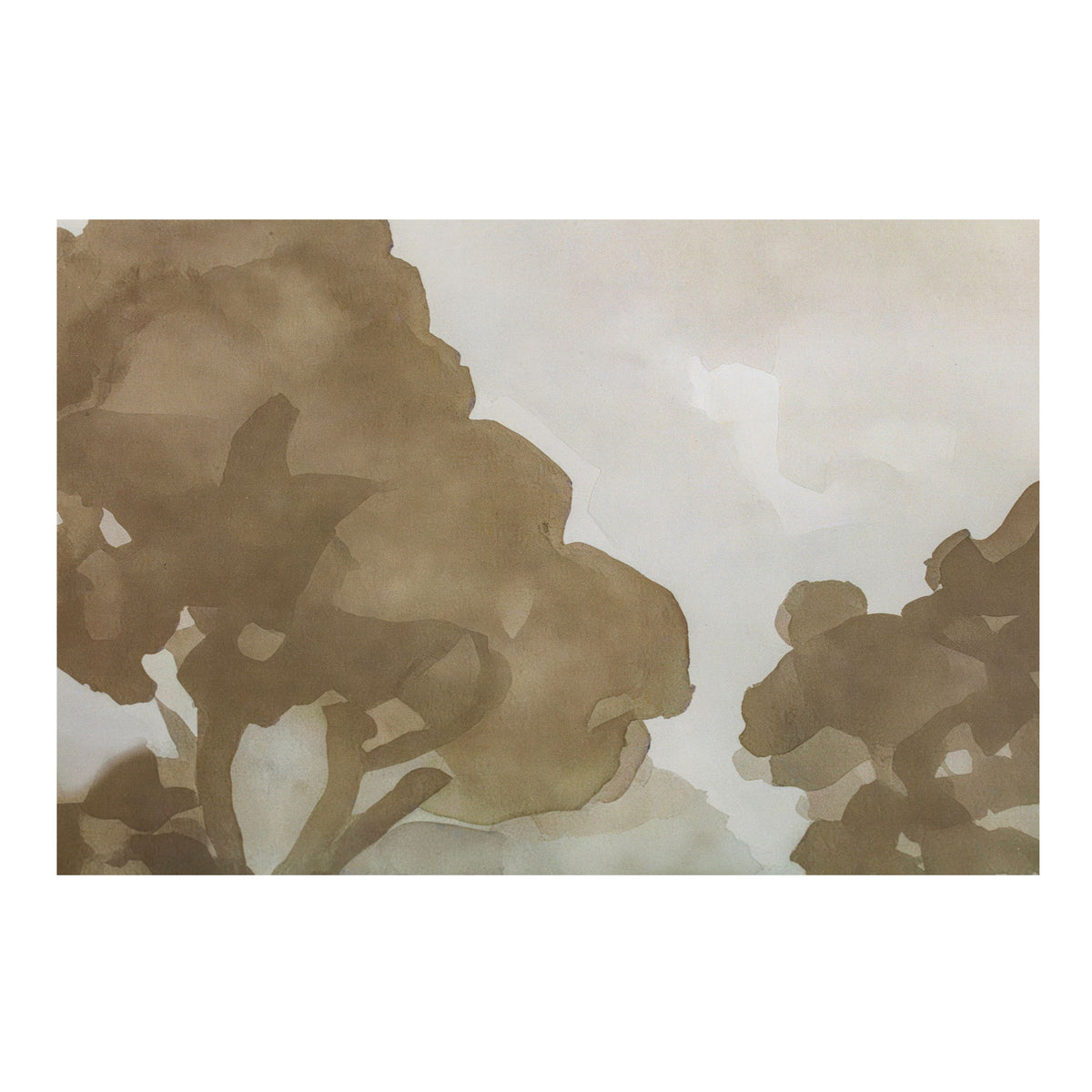 Ash - Framed Print - Gray